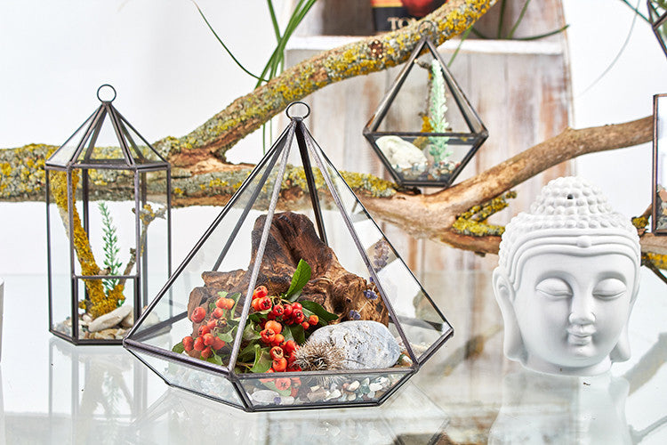 Terrarios de Vidrio – Decoración Natural y Espiritual