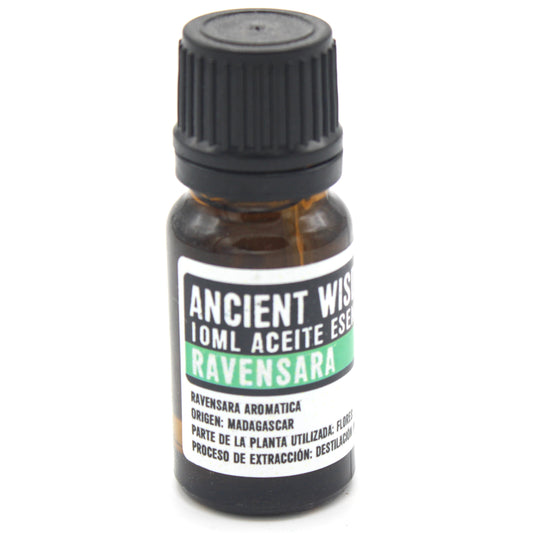 Aceite Esencial Ravensara – Antiséptico natural para bienestar respiratorio